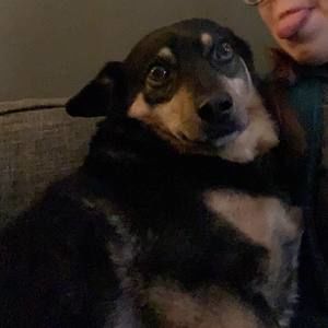 Meet your Posher, Skye